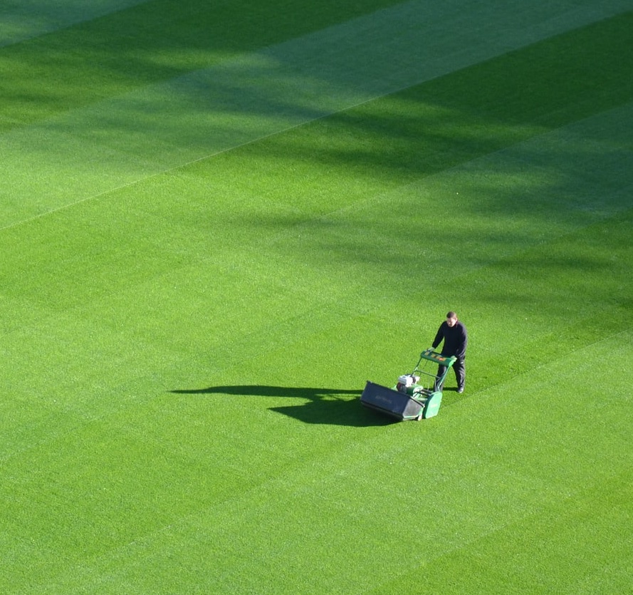 Mowing